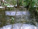 石川r218笠ノ谷隧道(雪化粧)
