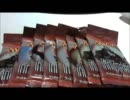 【福袋の中の】続・MTG3万円福袋開封動画　パック開封ISD編【福袋】