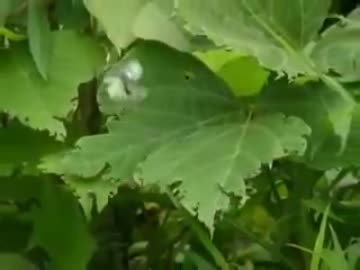 なんだこのおばさん！？（驚愕