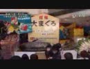 西宮神社・招福大まぐろ奉納