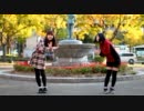 【KENN】ぐーぐー踊ってみた【あんこ】