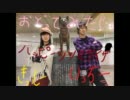 【いっちー】ハッピーシンセサイザを踊ったー【きっしー】