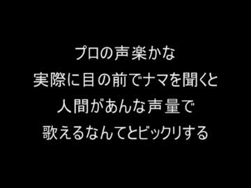 【コピペ】生で見てビックリした　衝撃的なもの【２ｃｈ】