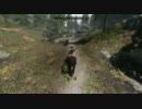 Skyrim プレイ動画 ゆるり流浪伝 Part20