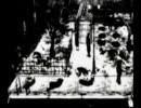 【初見実況】酒と男と魑魅魍魎029【零~月蝕の仮面~】