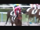 3歳未勝利_スナークタキオン