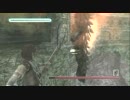 【プレイ動画】危なっかしいけどワンダと巨像をサクサクプレイしたい(8)
