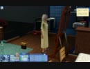 【実況】ブリッジポートを都会人気分で生活してみた part48-1【シムズ３】