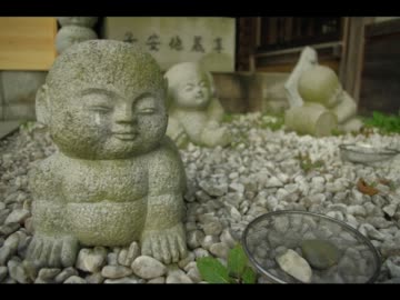 【写真】ある冬の一日【スライドショー】