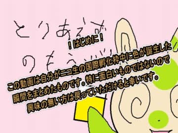 固定リセット 色違いのすゝめ クレセリア編 ポケモンbw2 ニコニコ動画