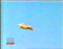 空飛ぶぬこ