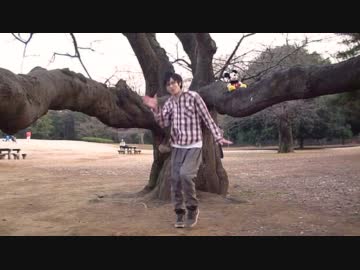 【はくあ】スイートマジック 踊ってみた【初投稿】