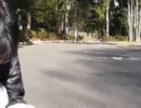 【つね】新春つね動画【くえすと】