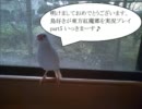 鳥好きが東方紅魔郷を実況プレイpart5