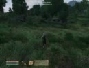 TES4：ReplayFile004