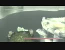 【プレイ動画】危なっかしいけどワンダと巨像をサクサクプレイしたい(12)