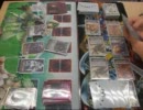 VGリハビリ対戦　シャドパラVSかげろう