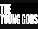 The Young Gods - I am the Drug【Live】