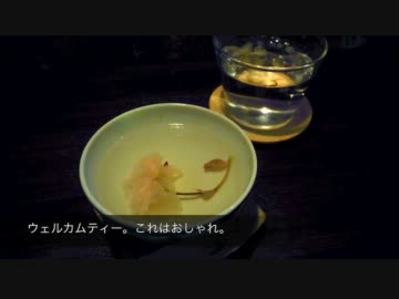 【ぷちりょこう】自転車で喫茶店巡りしてきた。 -- 2012年1月8日。