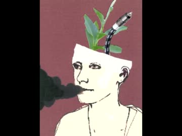 ぼくの頭の中の水槽 / colobs