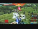 釘宮病末期患者のEXVS　part8
