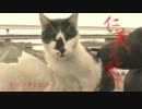 仁義ある食卓【魚くれくれ野良猫シリーズ】