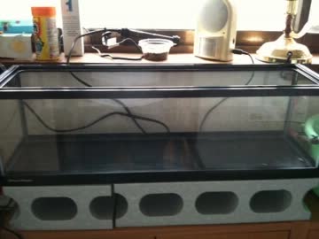 水槽リセットすんぞぃ　集まれ！　タイトル回収編