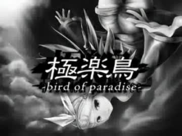 極楽鳥 -bird of paradise-　を歌ってみました