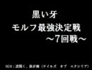 ファイアーエムブレム烈火の剣　モルフ最強決定戦　７回戦