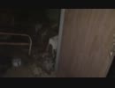 かりんちゃんと心霊スポット　vol４　５/６