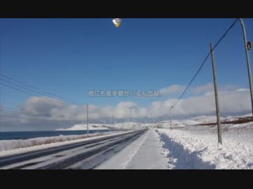 最北端で年越しを 【2】 鉄人