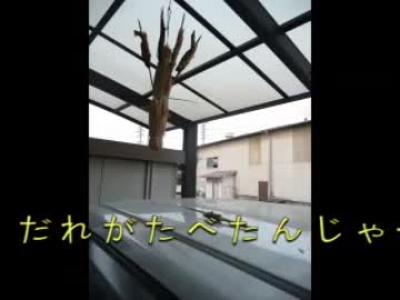 鮎泥棒