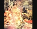 Larry Coryell 　 SEX
