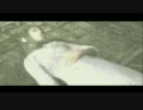 【プレイ動画】危なっかしいけどワンダと巨像をサクサクプレイしたい(18)