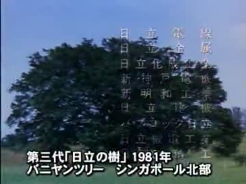 日立の樹－プロローグ篇－