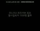 리니지2 뉴비디아 서버 홍보-여신님-