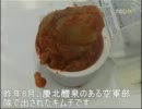 【グロ注意】韓国軍の食事から「ネズミ、カエル、かたつむり」が･･･