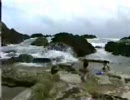 若本と