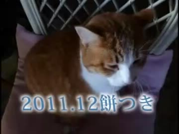 2011.12.25餅つき