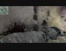 【CoD:MW3】Strikerの使い方【取扱説明書】
