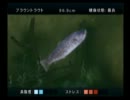 【FISHEYES3】釣りゲー＝クソゲーのジャンルと言われても【実況part32】