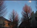 【オリジナル曲】　熱情、冷