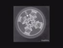 Caustic Window (Aphex Twin) - Astroblaster (high quality audio)