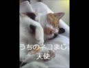 鳳凰卓にいくまで応援してほしい麻雀実況part5