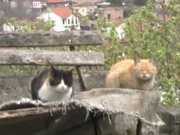 結局かい！ -中東/トルコ編③-３-