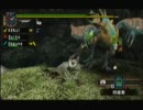 【今さら実況】時代逆行トリオが行くpart24【MHP2G】