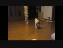 猫にとってこいさせたら飛びすぎた