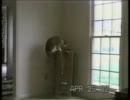 cats.wmv