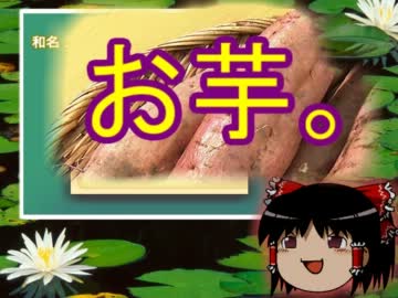 【ピクミン】原生生物について考えよう。【イモガエル】