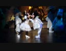 TDL ワンマンズドリームⅡ　2012.1.21 「シャイニング｣ミッキーズーム